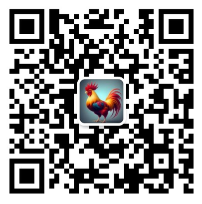 关注公众号